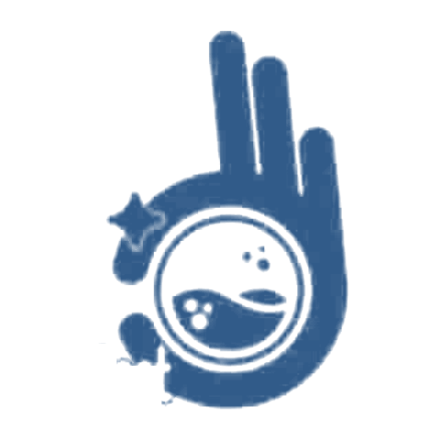 Perfect Wash logo